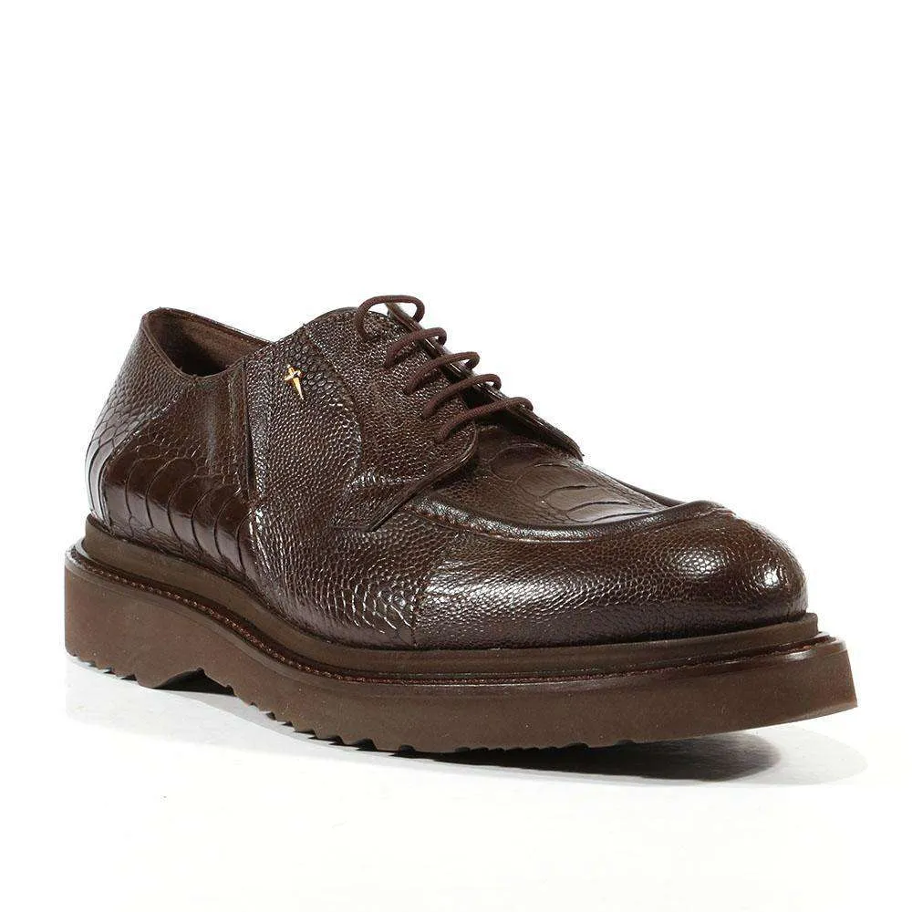 Cesare Paciotti Exotic Designer Shoes Struzzo Fondente Nappa Brown Lizard Oxfords (CPM3040)