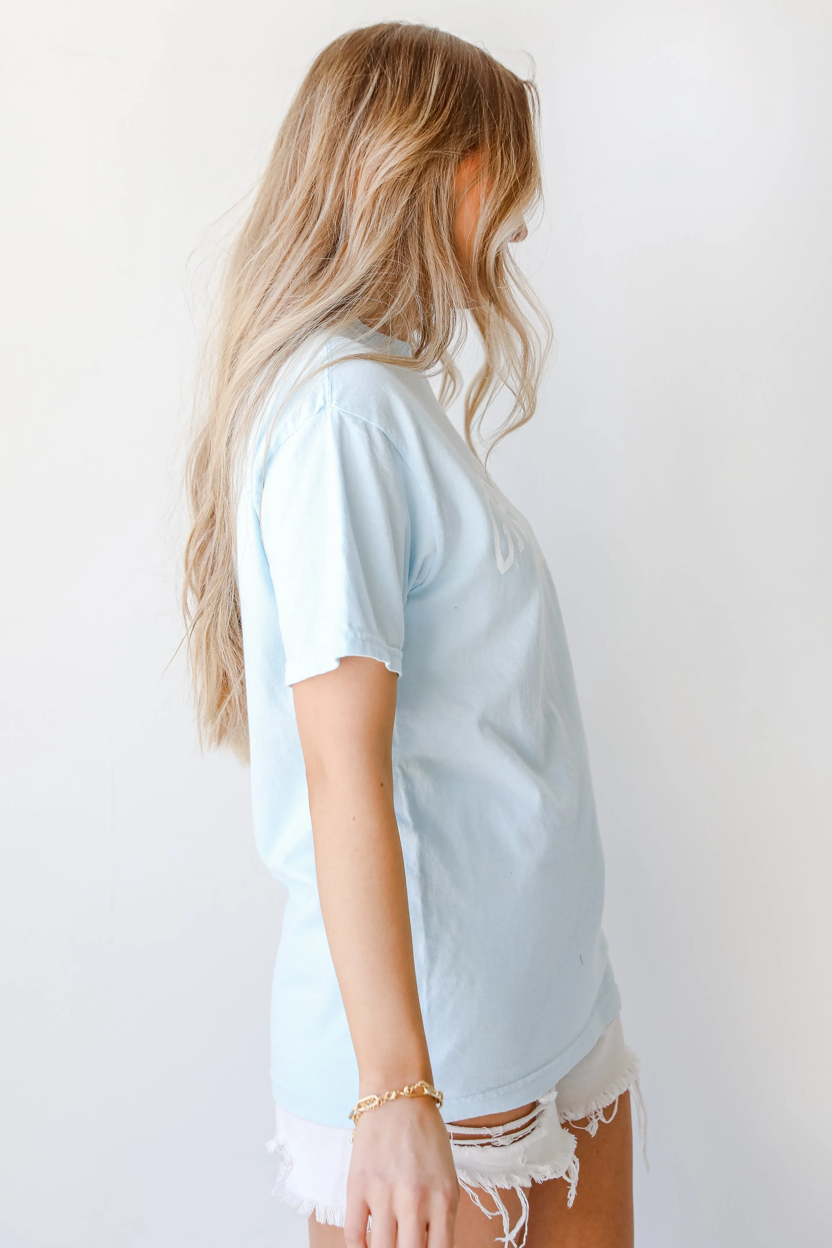 Light Blue Greenville South Carolina Tee